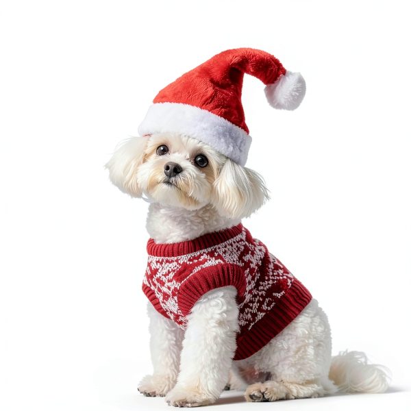 Wildarms Santa Dog Hat Soft Polyester Pet Christmas Apparel-5