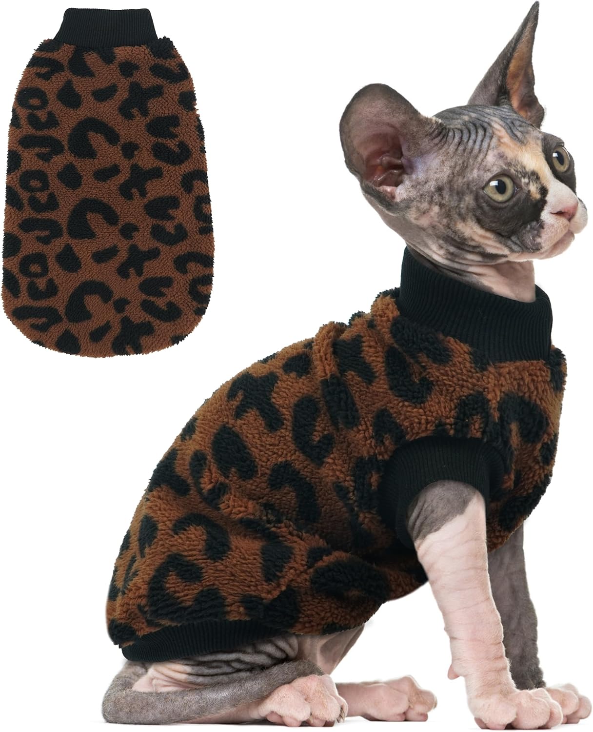 Cat wearing the fleece sweater in a cozy indoor setting