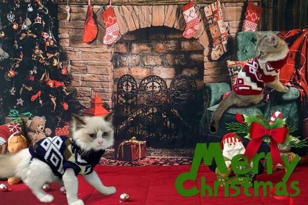 Vehomy Pet Sweaters Acrylic Warm Christmas Plaid Design-4