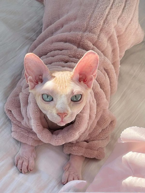 Kitipcoo Cat Sweater Coral Fleece Warm Hairless Pet Apparel-3