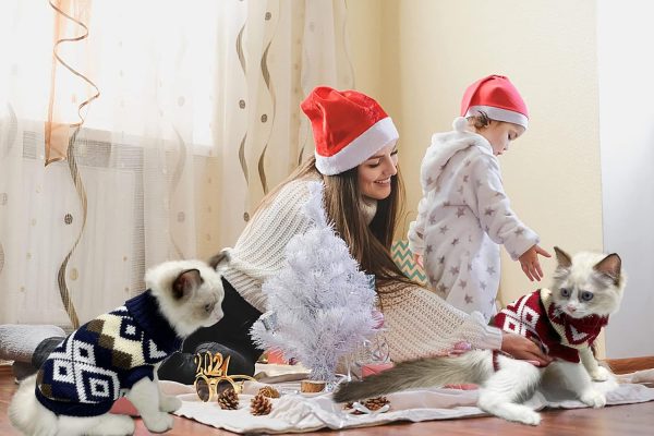 Vehomy Dog Sweaters Acrylic Fabric 6 Sizes Pet Clothing-4