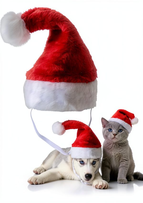 Wildarms Santa Dog Hat Soft Polyester Pet Christmas Apparel-0