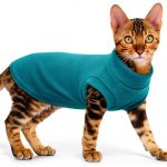 PUMYPOREITY Cat Sweater Fleece Warm Winter Pet Apparel-0