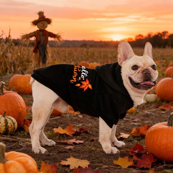 Dog Hoodie EXPAWLORER Ribbed Warm Pet Apparel-7