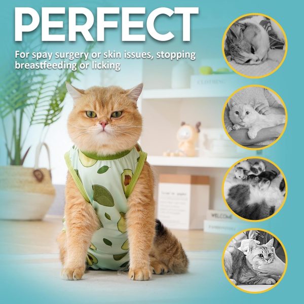 Avont Cat Recovery Suit Soft Modal Fabric Surgery Protection-3