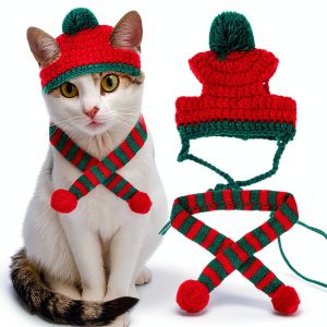 Cat Winter Hat Scarf Set Pawskido Warm Knit Apparel-0