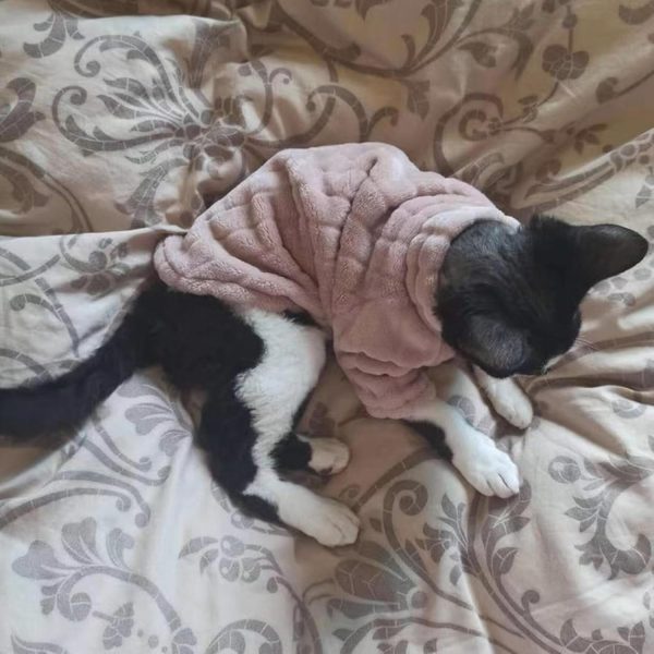 Kitipcoo Cat Sweater Coral Fleece Warm Hairless Pet Apparel-5