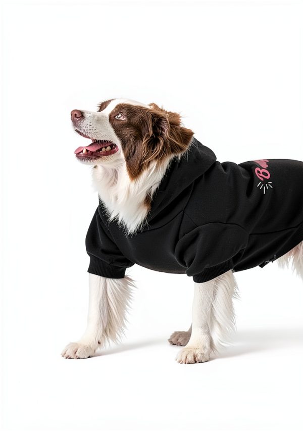 EXPAWLORER Dog Hoodie Cozy Ribbed Design Leash Hole-5