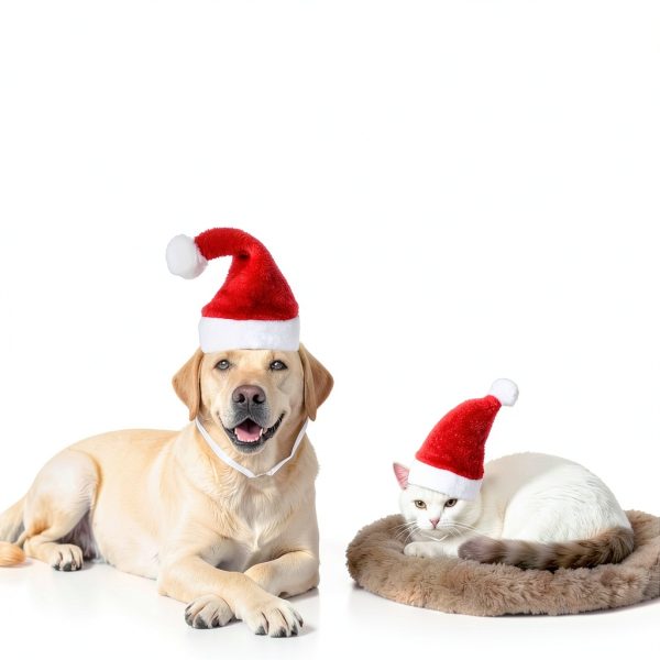 Wildarms Santa Dog Hat Soft Polyester Pet Christmas Apparel-6