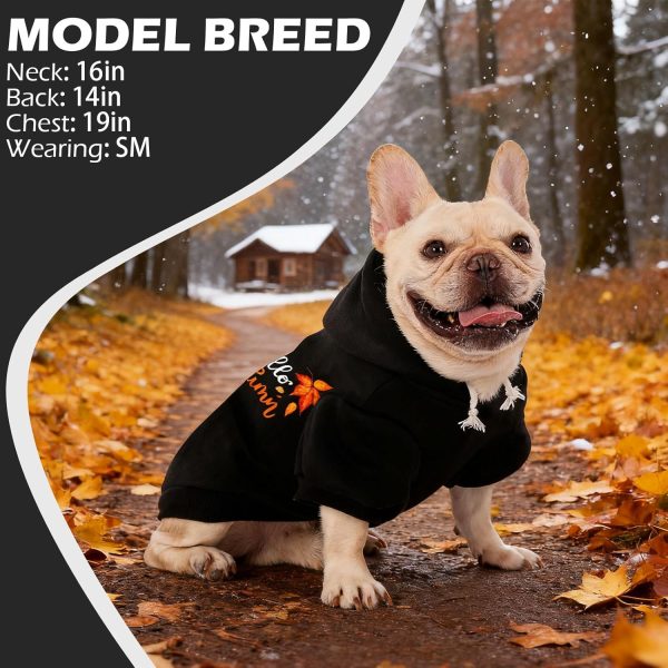 Dog Hoodie EXPAWLORER Ribbed Warm Pet Apparel-6
