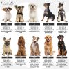 Parisian Pet Dog T-Shirts Embroidered Family Apparel Pet-6