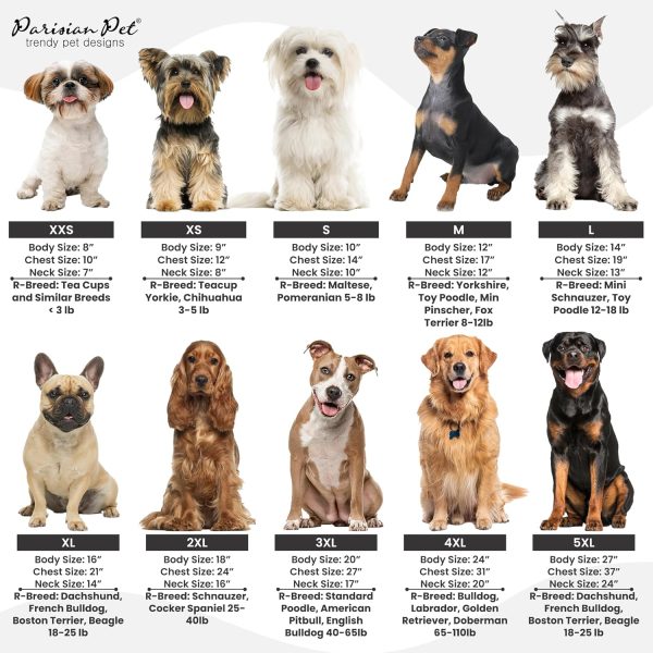 Parisian Pet Dog T-Shirts Embroidered Family Apparel Pet-6