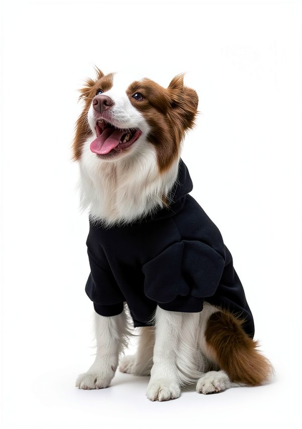 EXPAWLORER Dog Hoodie Cozy Ribbed Design Leash Hole-2