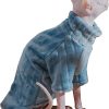 Kitipcoo Cat Sweater Coral Fleece Sphynx Winter Apparel-0