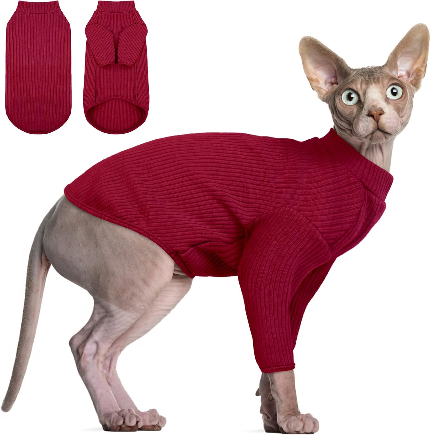 DENTRUN hairless cat shirt in red on a cat