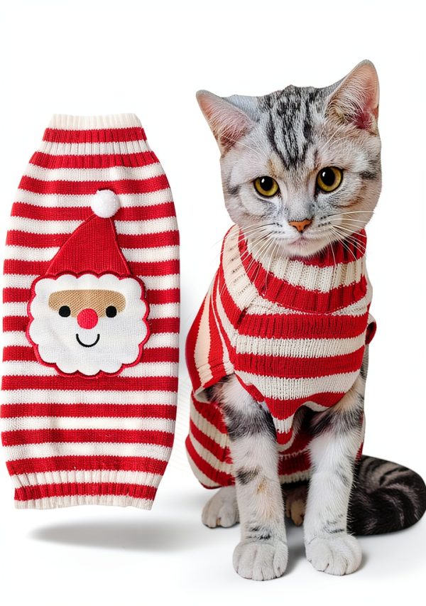 Bobibi Cat Sweater Acrylic Warm Medium Size-0