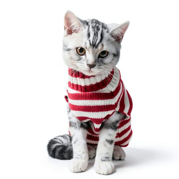 Bobibi Cat Sweater Acrylic Warm Medium Size-4