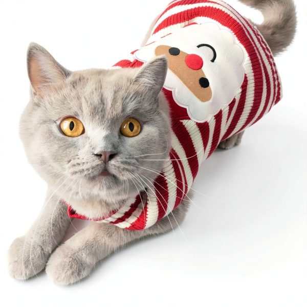 Bobibi Cat Sweater Acrylic Warm Medium Size-2